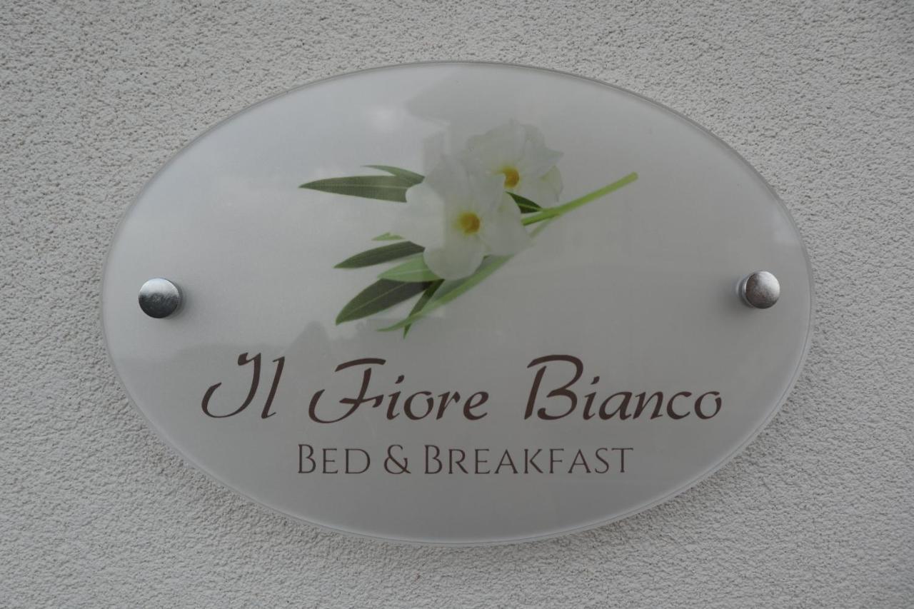 Bed and Breakfast Il Fiore Bianco Capo dʼOrlando Zewnętrze zdjęcie