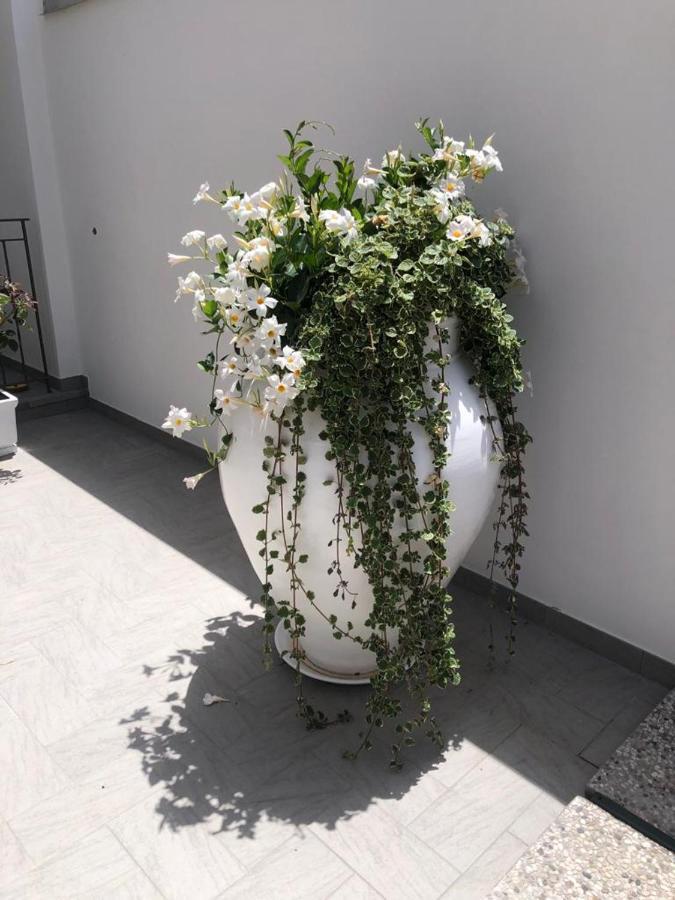 Il Fiore Bianco Capo dʼOrlando Zewnętrze zdjęcie